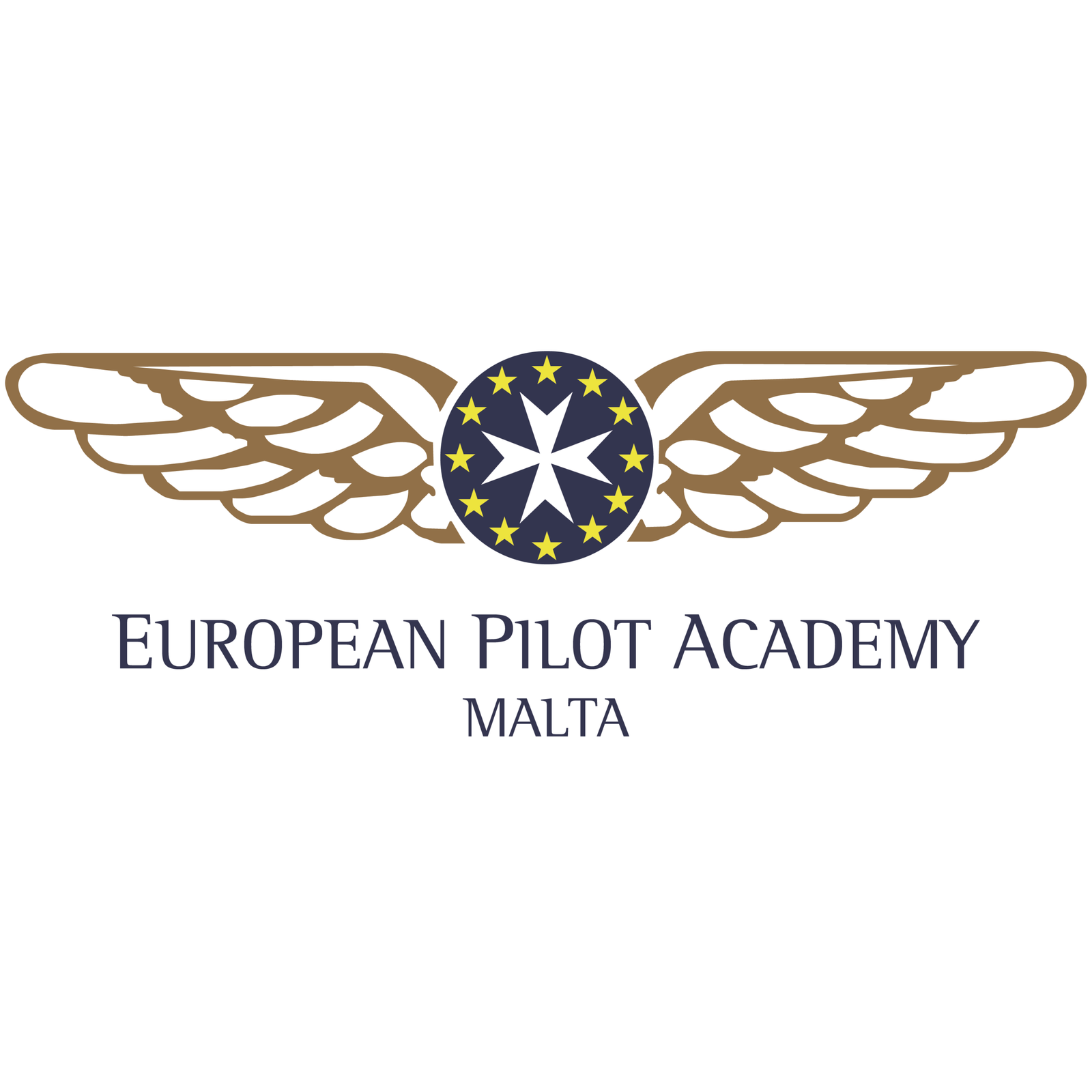 Zero to Airline Pilot